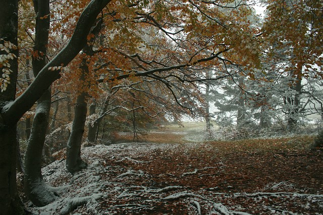 Raichberg 2007 Bild 22